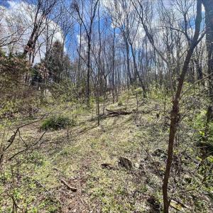 Photo #9 of HILLSIDE DR., STANLEY, VA 3.0 acres