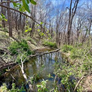 Photo #4 of HILLSIDE DR., STANLEY, VA 3.0 acres