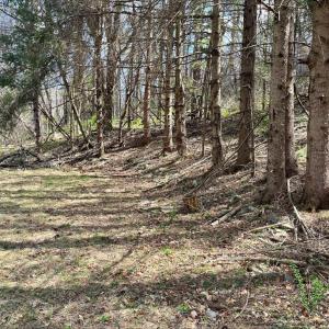 Photo #10 of HILLSIDE DR., STANLEY, VA 3.0 acres