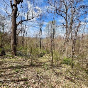 Photo #11 of HILLSIDE DR., STANLEY, VA 3.0 acres