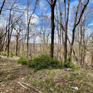 Photo #12 of HILLSIDE DR., STANLEY, VA 3.0 acres