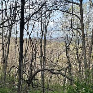 Photo #3 of HILLSIDE DR., STANLEY, VA 3.0 acres