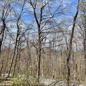 Photo #13 of HILLSIDE DR., STANLEY, VA 3.0 acres