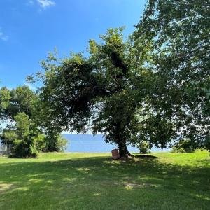 Photo #6 of 119 Horniblow Point, Edenton, NC