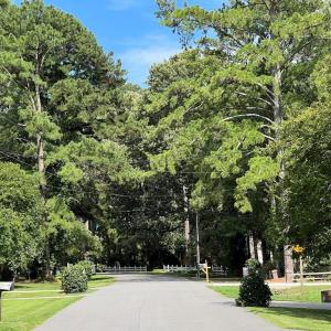 Photo #4 of 119 Horniblow Point, Edenton, NC