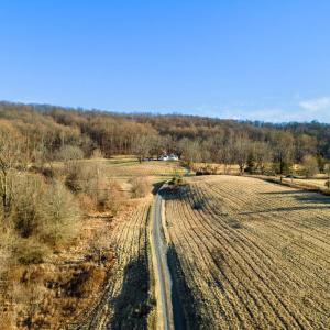 Photo #21 of 3671 HALFWAY RD, THE PLAINS, VA 63.0 acres