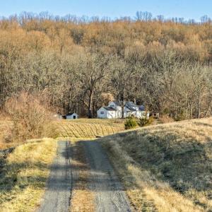 Photo #17 of 3671 HALFWAY RD, THE PLAINS, VA 63.0 acres