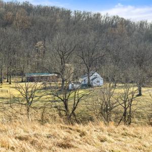 Photo #67 of 3671 HALFWAY RD, THE PLAINS, VA 63.0 acres