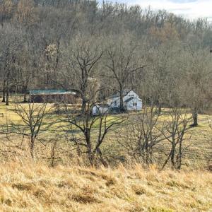 Photo #69 of 3671 HALFWAY RD, THE PLAINS, VA 63.0 acres