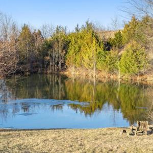 Photo #5 of 3671 HALFWAY RD, THE PLAINS, VA 63.0 acres