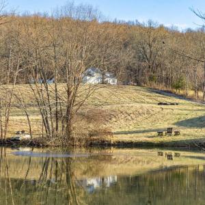 Photo #6 of 3671 HALFWAY RD, THE PLAINS, VA 63.0 acres