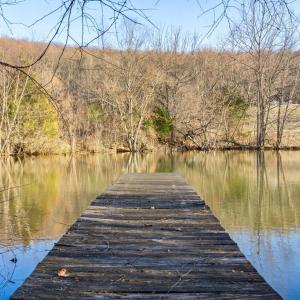 Photo #7 of 3671 HALFWAY RD, THE PLAINS, VA 63.0 acres