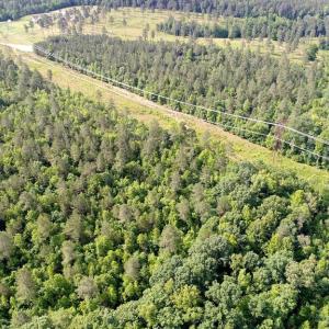 Photo #3 of 13251 BROOKE RIDGE LN, SPOTSYLVANIA, VA 40.3 acres