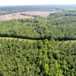 Photo #4 of 13251 BROOKE RIDGE LN, SPOTSYLVANIA, VA 40.3 acres