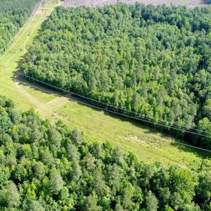 Photo #5 of 13251 BROOKE RIDGE LN, SPOTSYLVANIA, VA 40.3 acres