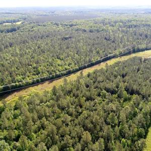 Photo #6 of 13251 BROOKE RIDGE LN, SPOTSYLVANIA, VA 40.3 acres