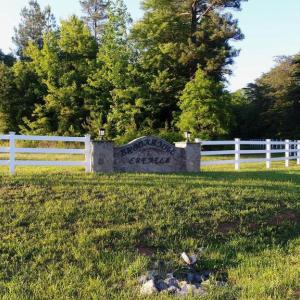 Photo #7 of 13251 BROOKE RIDGE LN, SPOTSYLVANIA, VA 40.3 acres
