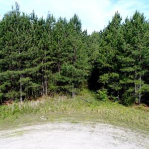 Photo #11 of 13251 BROOKE RIDGE LN, SPOTSYLVANIA, VA 40.3 acres
