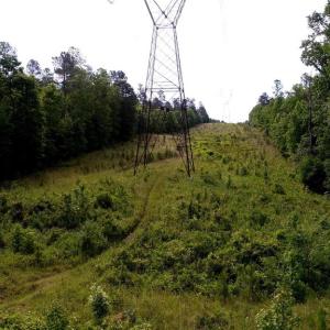 Photo #13 of 13251 BROOKE RIDGE LN, SPOTSYLVANIA, VA 40.3 acres