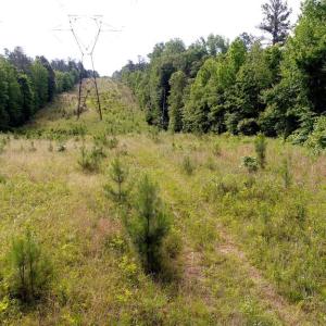 Photo #14 of 13251 BROOKE RIDGE LN, SPOTSYLVANIA, VA 40.3 acres