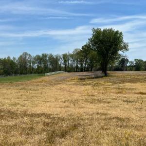 Photo #2 of LANGHORNE, SCOTTSVILLE, VA 54.9 acres