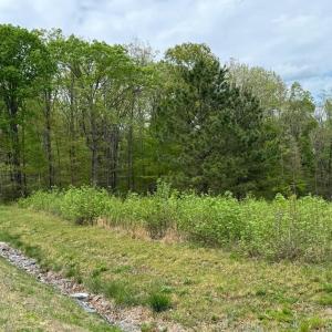 Photo #2 of ARK AVE, BUMPASS, VA 0.7 acres