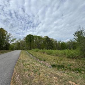 Photo #8 of ARK AVE, BUMPASS, VA 0.7 acres