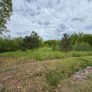 Photo #13 of ARK AVE, BUMPASS, VA 0.7 acres
