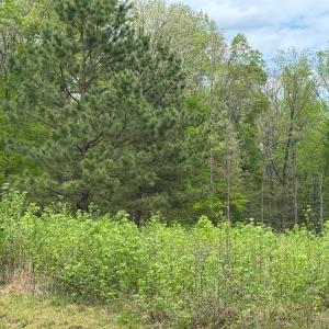 Photo #11 of ARK AVE, BUMPASS, VA 0.7 acres