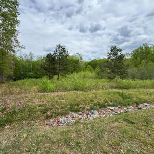 Photo #12 of ARK AVE, BUMPASS, VA 0.7 acres