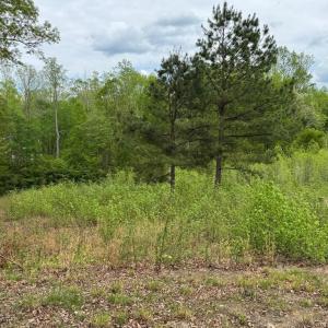 Photo #14 of ARK AVE, BUMPASS, VA 0.7 acres