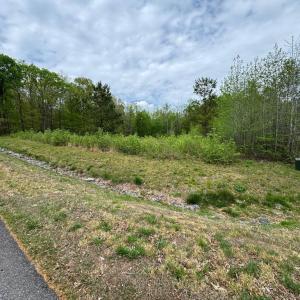Photo #15 of ARK AVE, BUMPASS, VA 0.7 acres