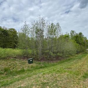 Photo #16 of ARK AVE, BUMPASS, VA 0.7 acres