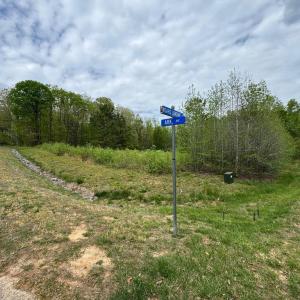 Photo #9 of ARK AVE, BUMPASS, VA 0.7 acres