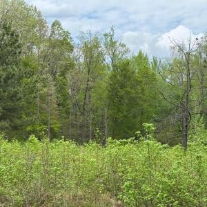 Photo #10 of ARK AVE, BUMPASS, VA 0.7 acres