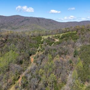 Photo #7 of JOLLETT RD, ELKTON, VA 18.0 acres