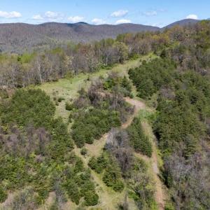Photo #10 of JOLLETT RD, ELKTON, VA 18.0 acres