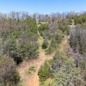 Photo #11 of JOLLETT RD, ELKTON, VA 18.0 acres