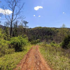 Photo #18 of JOLLETT RD, ELKTON, VA 18.0 acres