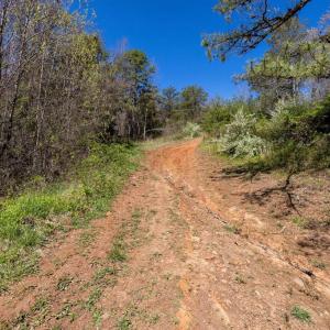Photo #19 of JOLLETT RD, ELKTON, VA 18.0 acres