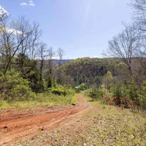 Photo #20 of JOLLETT RD, ELKTON, VA 18.0 acres