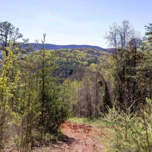 Photo #25 of JOLLETT RD, ELKTON, VA 18.0 acres