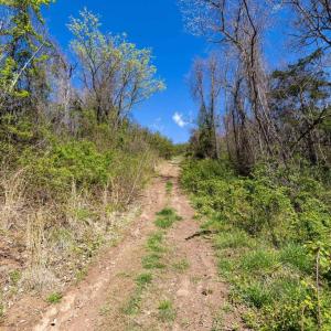 Photo #26 of JOLLETT RD, ELKTON, VA 18.0 acres