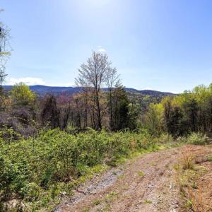 Photo #27 of JOLLETT RD, ELKTON, VA 18.0 acres
