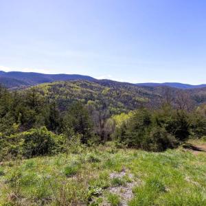 Photo #29 of JOLLETT RD, ELKTON, VA 18.0 acres