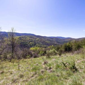 Photo #30 of JOLLETT RD, ELKTON, VA 18.0 acres