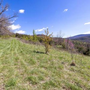 Photo #31 of JOLLETT RD, ELKTON, VA 18.0 acres