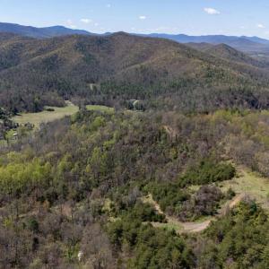 Photo #10 of JOLLETT RD, ELKTON, VA 18.0 acres