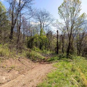 Photo #25 of JOLLETT RD, ELKTON, VA 18.0 acres