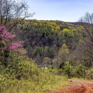 Photo #22 of JOLLETT RD, ELKTON, VA 18.0 acres